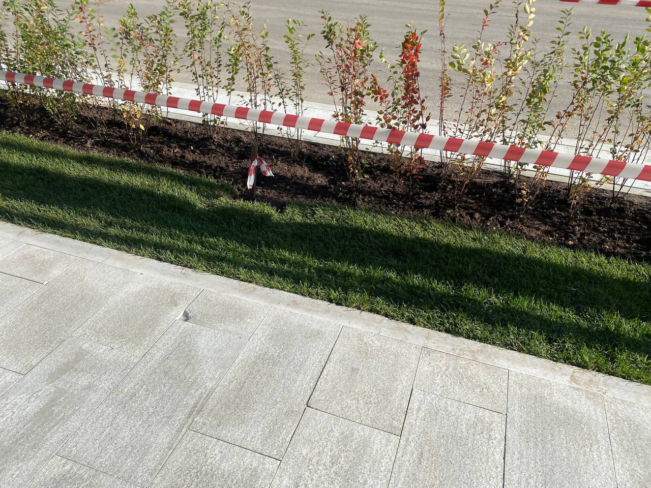 https://yakutsk.blago-s.ru/storage/app/uploads/public/670/e06/820/670e06820d5c2175931920.jpeg